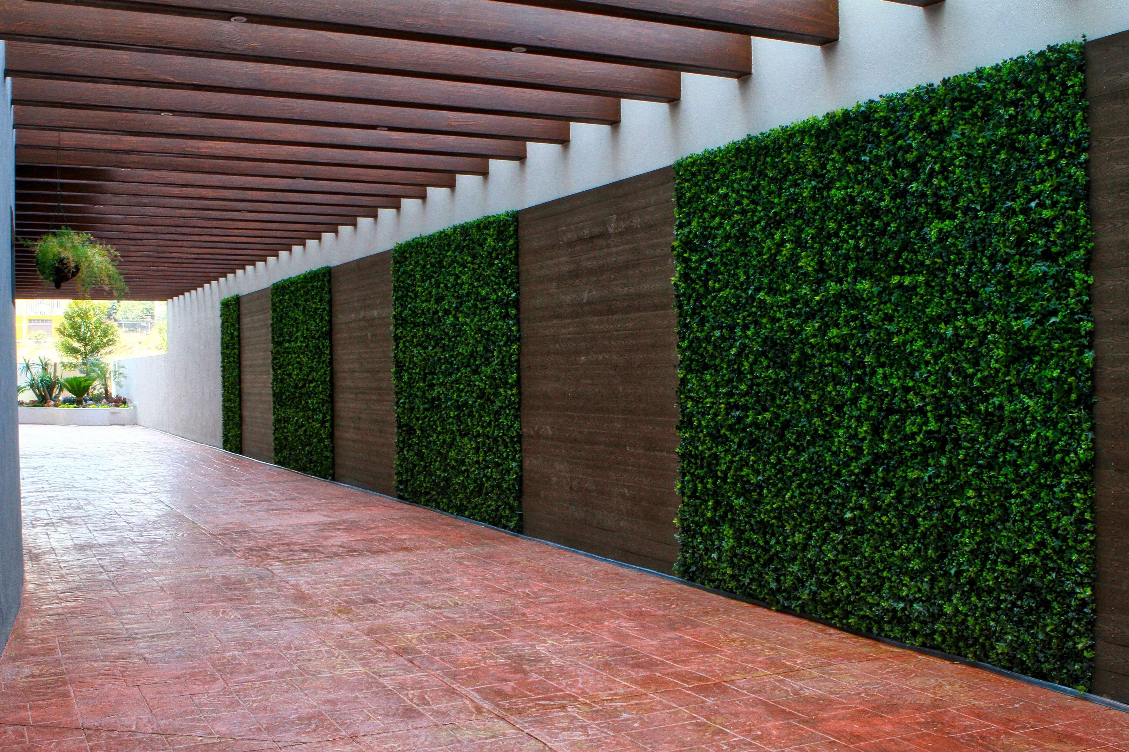 Best Western Plus Santa Cecilia Pachuca Exterior photo